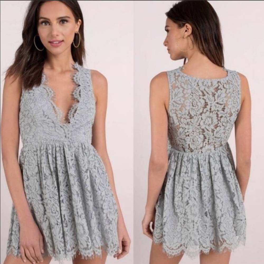 NWT Tobi Lauren Lace Skater Dress Gray